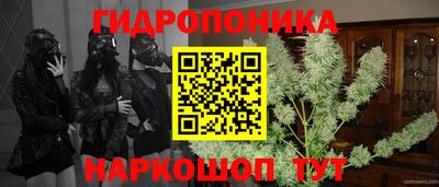 spice Новодвинск