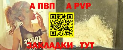 spice Новодвинск