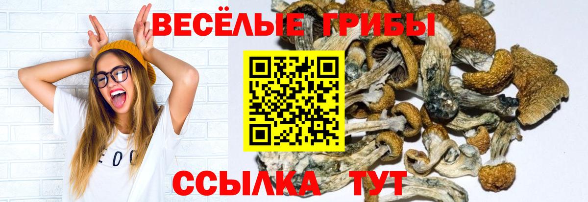 Галлюциногенные грибы мицелий Узловая