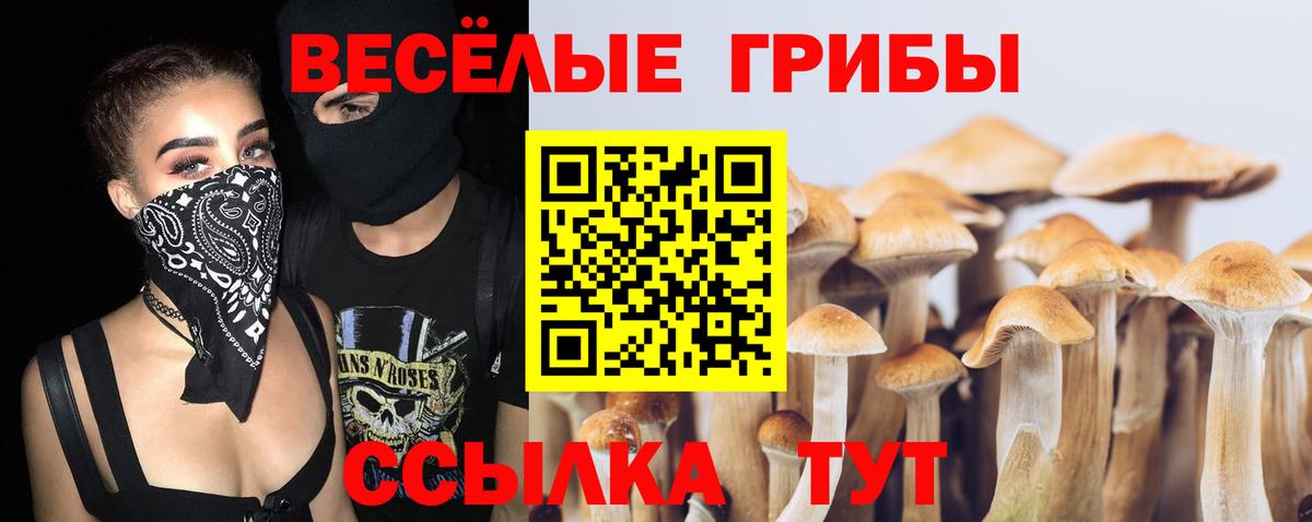 закладка  Галлюциногенные грибы Magic Shrooms  Узловая  Вход с VPN  Псилоцибиновые грибы Cubensis 